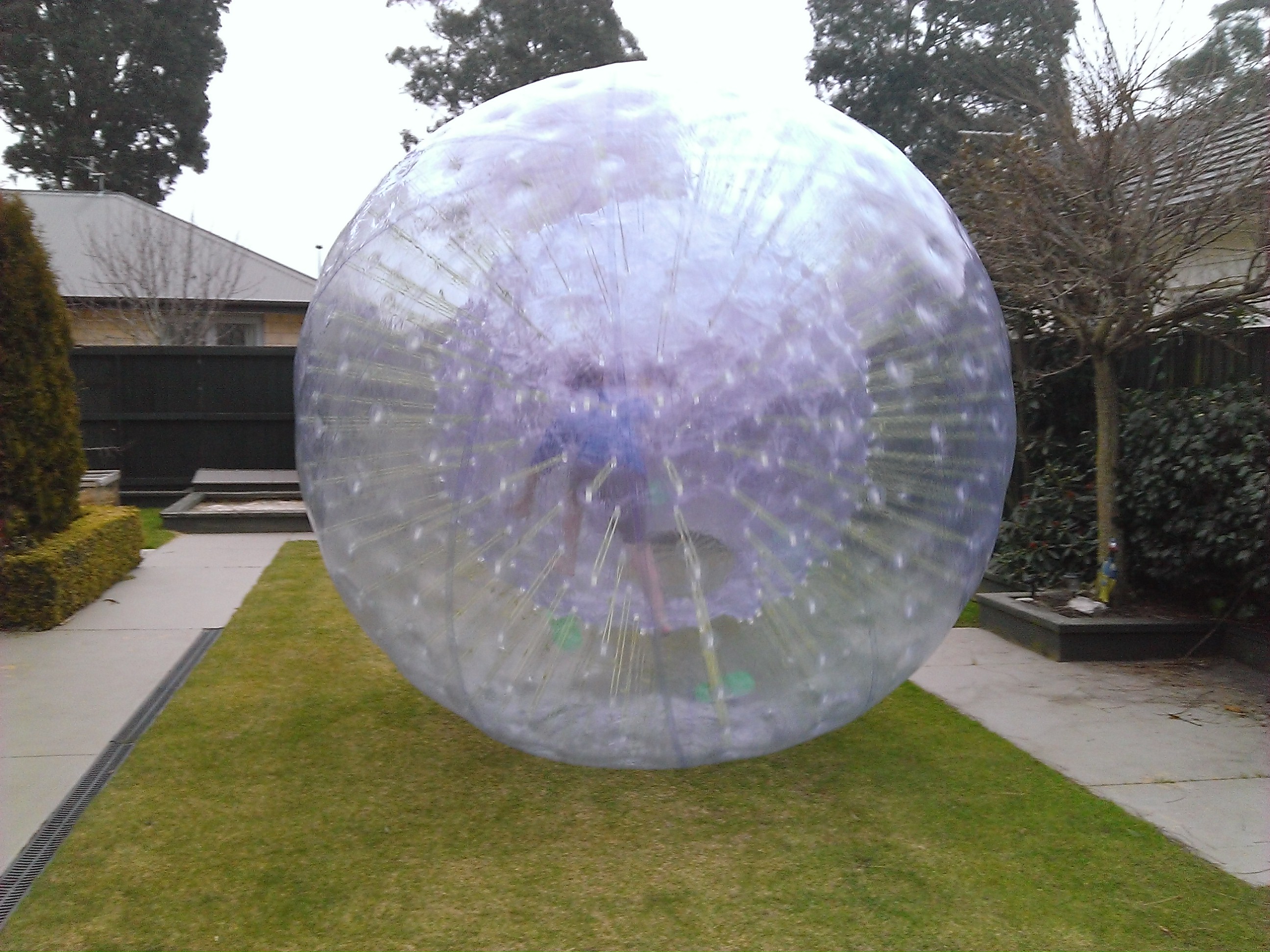 Zorb Balls